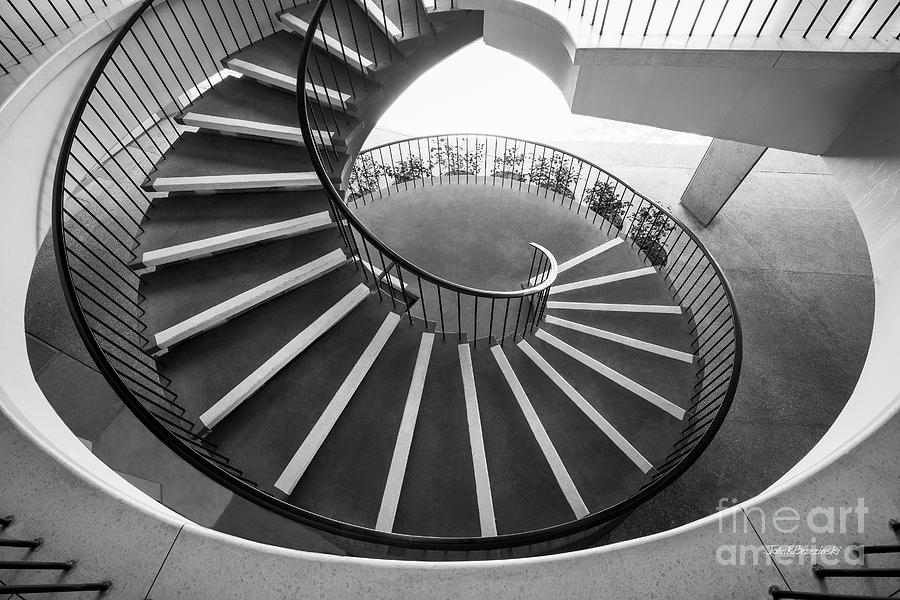 Stanford University Photograph - Stanford University Tressider Union Stair by University Icons