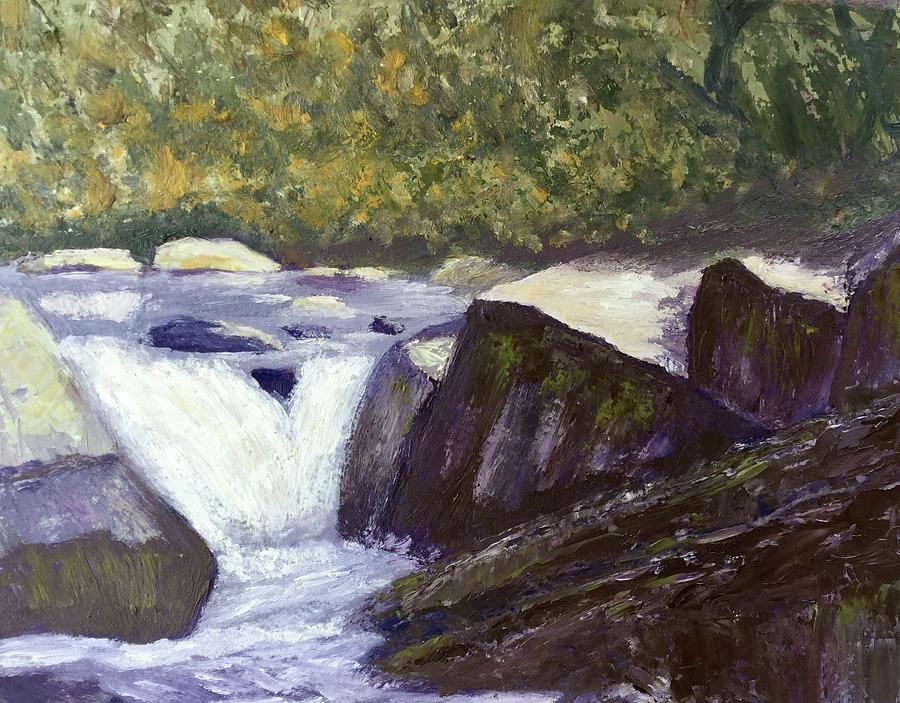Stanislaus River, California  Painting by Barbara Magor