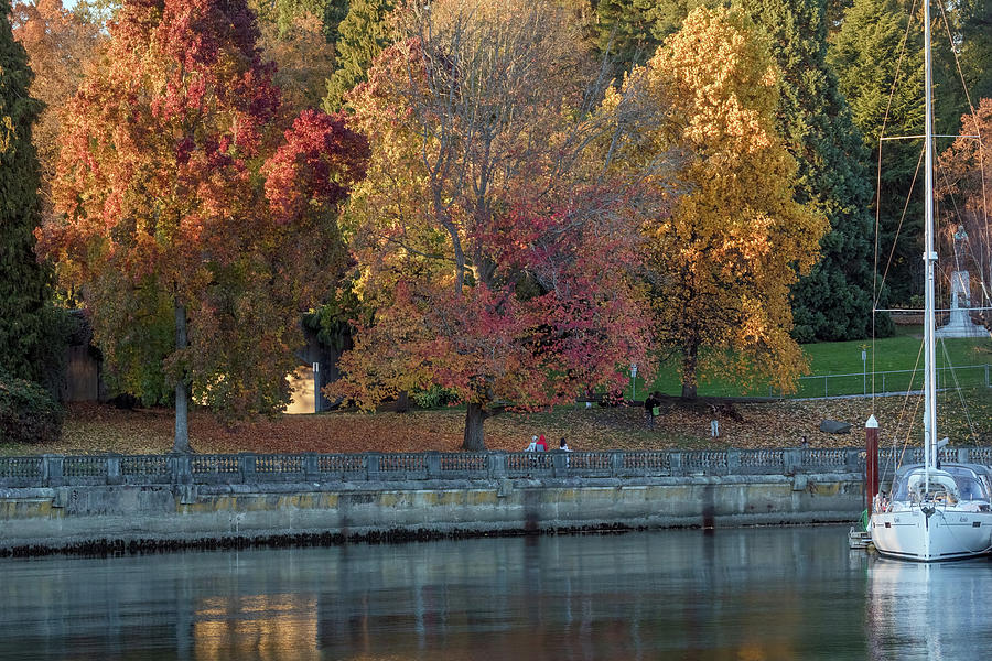 Stanley Park Seawall Fall Colors Photograph by Michael Russell