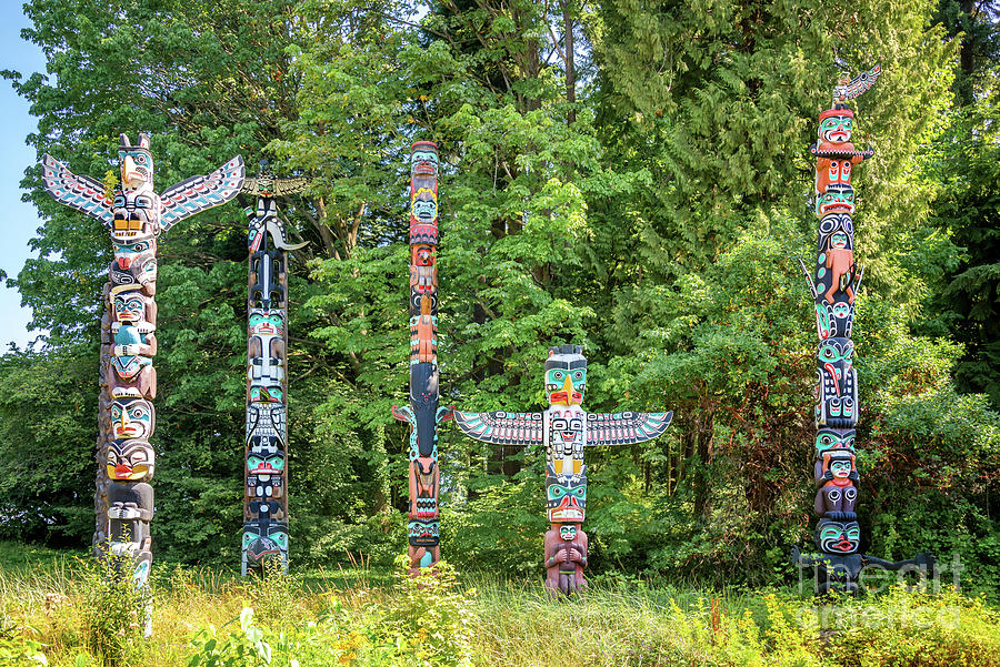 Stanley Park Totem Poles in Vancouver Photograph by Delphimages Photo Creations
