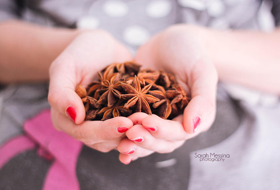 Star anise in hand Photograph by © Sarah Messina - all rights reserved