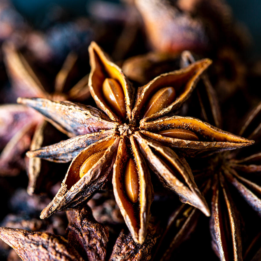 Star Anise Spice Photograph by Bj S