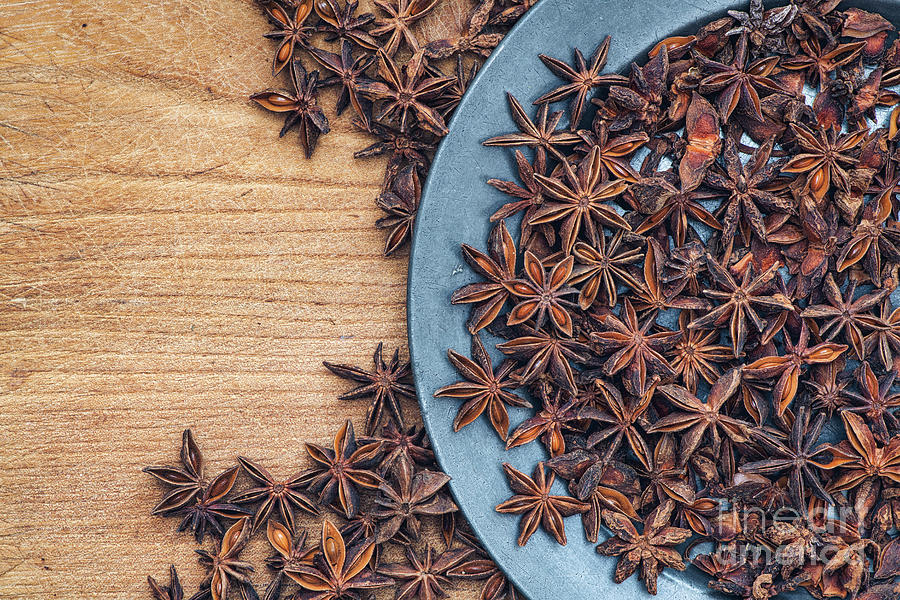 Star Anise Spice Photograph by Tim Gainey