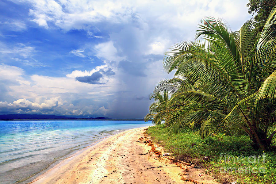 Star Beach at Bocas del Toro Photograph by John Rizzuto
