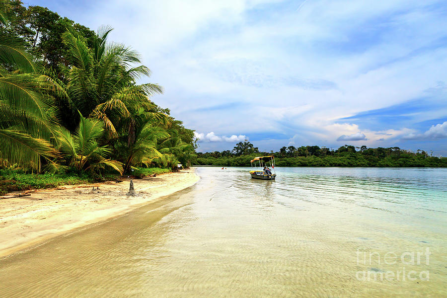 Star Beach Serenity in Bocas del Toro Panama Photograph by John Rizzuto