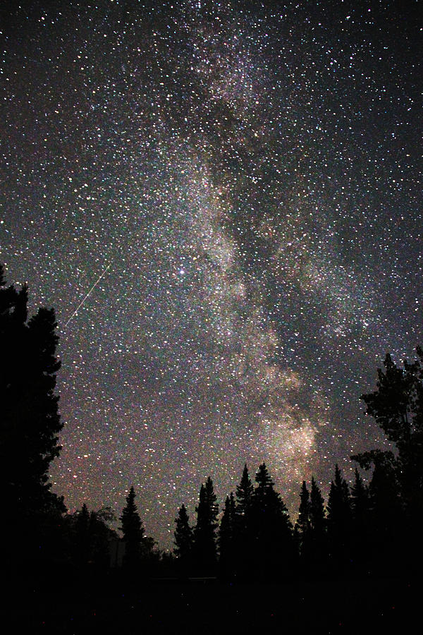 Star Belt Photograph by Kimberley Crawford Star Belt Photograph by Kimberley Crawford