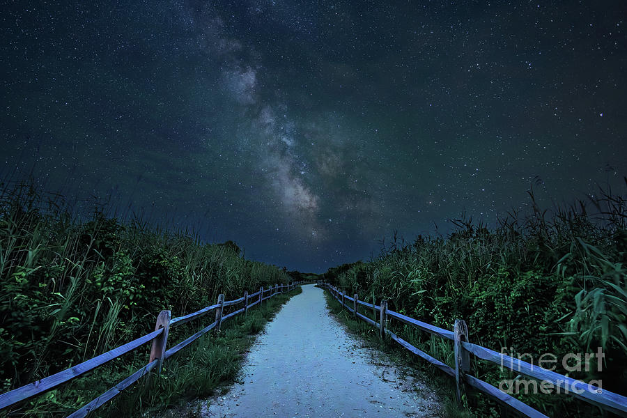 Star Crossed Path Photograph by Terry Geerdts - Fine Art America