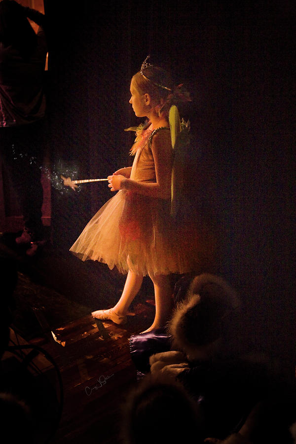 Star Dust Ballerina Photograph by Craig J Satterlee