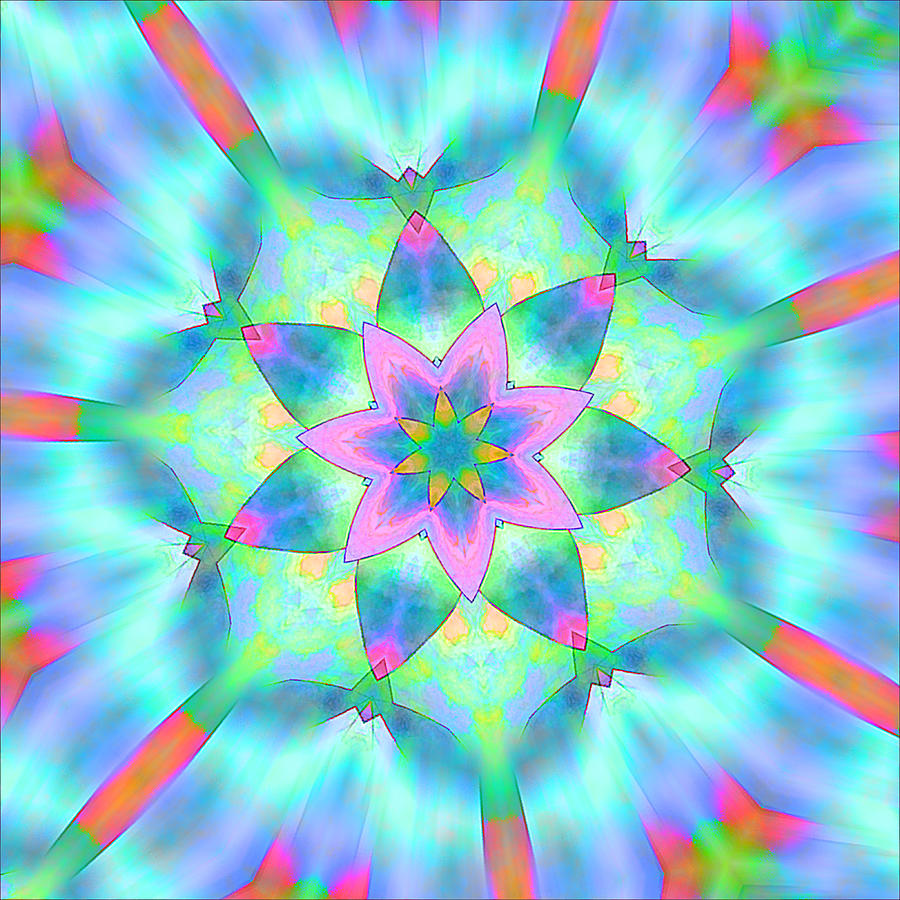 Star Flower Digital Art by Dave Turner