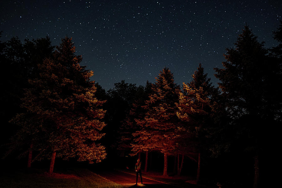 Star Gazing Photograph by Dan Burton - Pixels