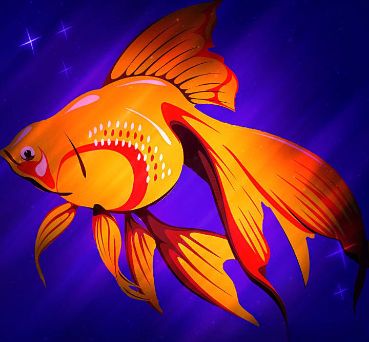 Star Goldfish Digital Art