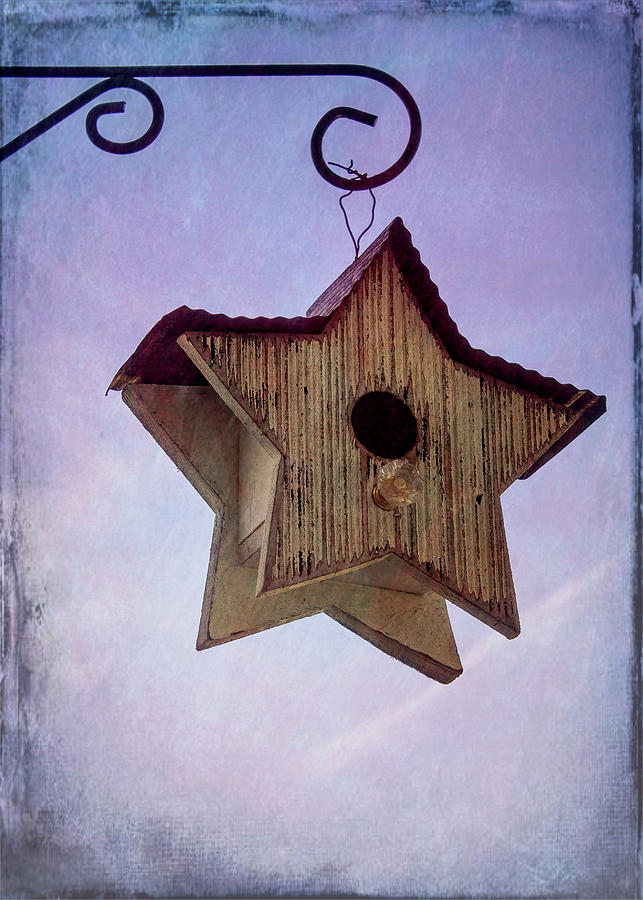 Star In The Sky Photograph