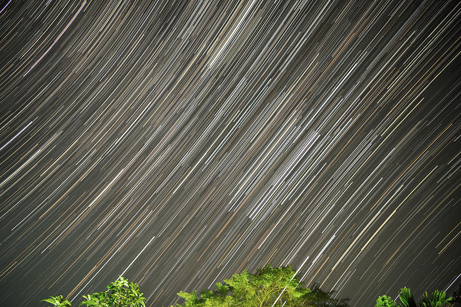 Star Trail for Orions Belt Photograph by Amazing Action Photo Video