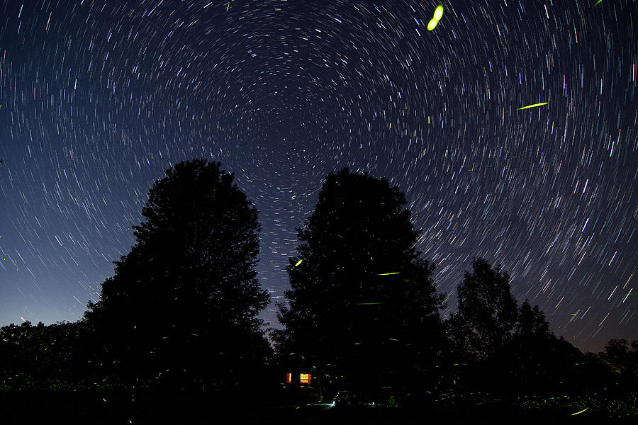 Star Trails and Lightning Bugs Photograph by Steve Stuller