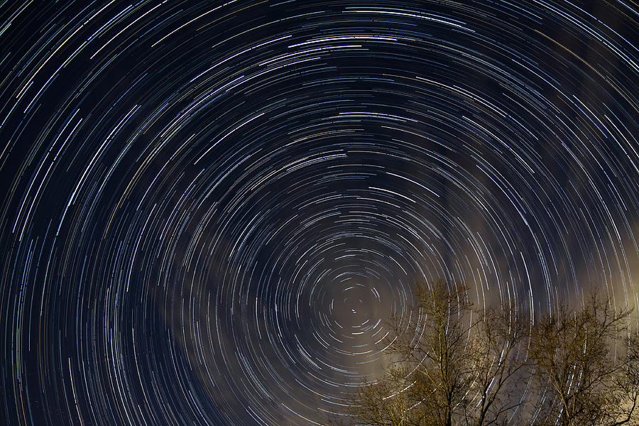 Star trails from my backyard Photograph by Brian Weber