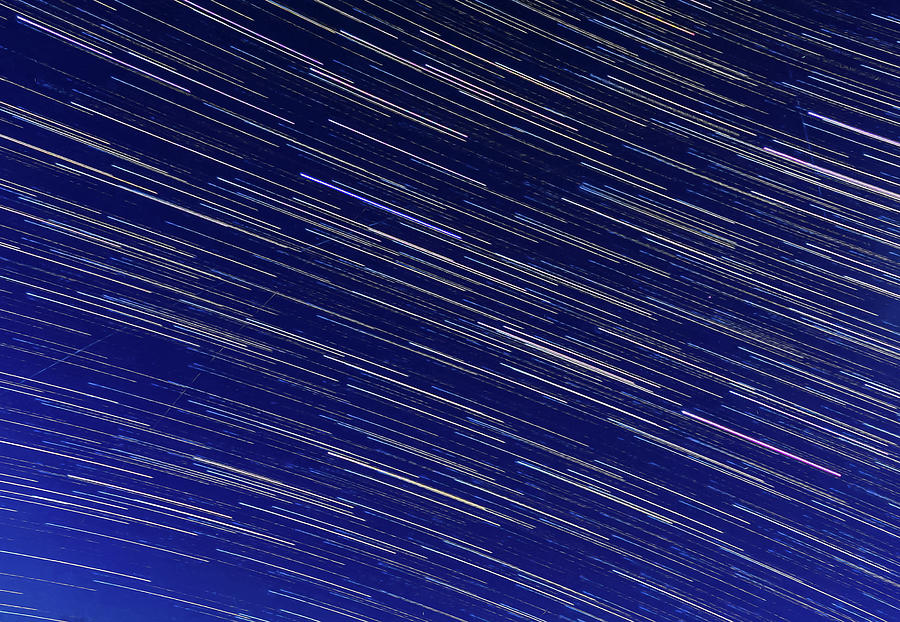 Star Trails in April Photograph by Sandra Js