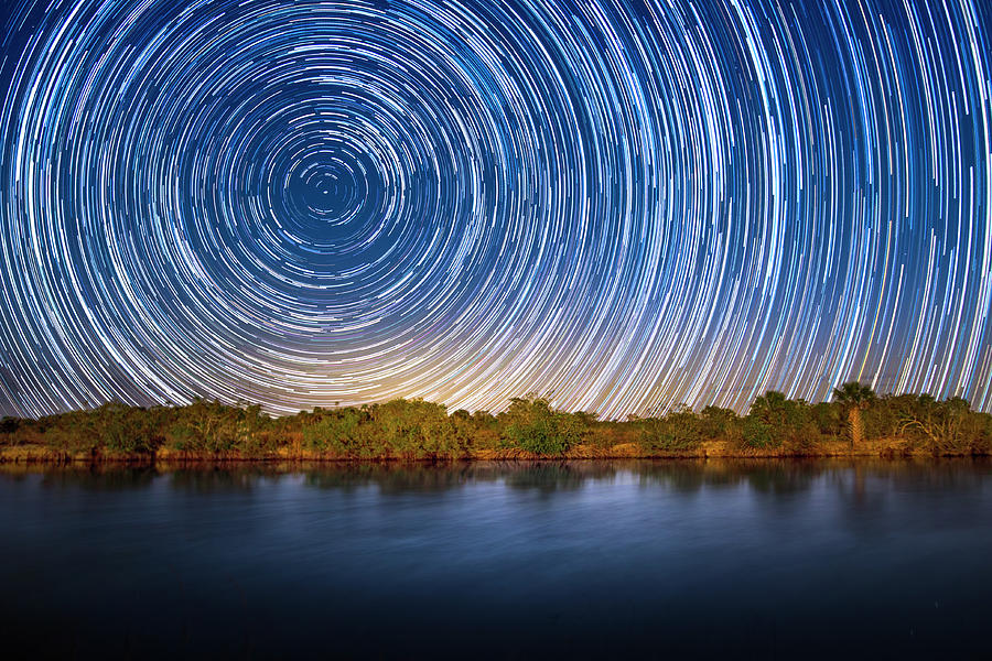 Star Trails in the Everglades Photograph by Mark Andrew Thomas