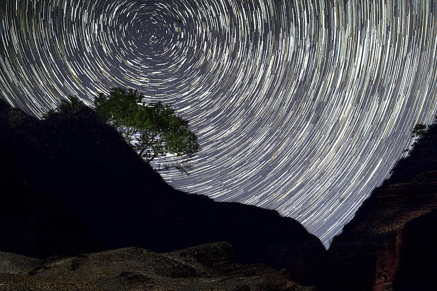 Stars Photograph - Star Trails over Grand Canyon National Park, AZ by Bipul Haldar