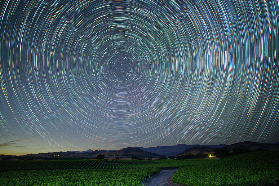 Star Trails Over the Vineyard 3 Photograph by Lindsay Thomson