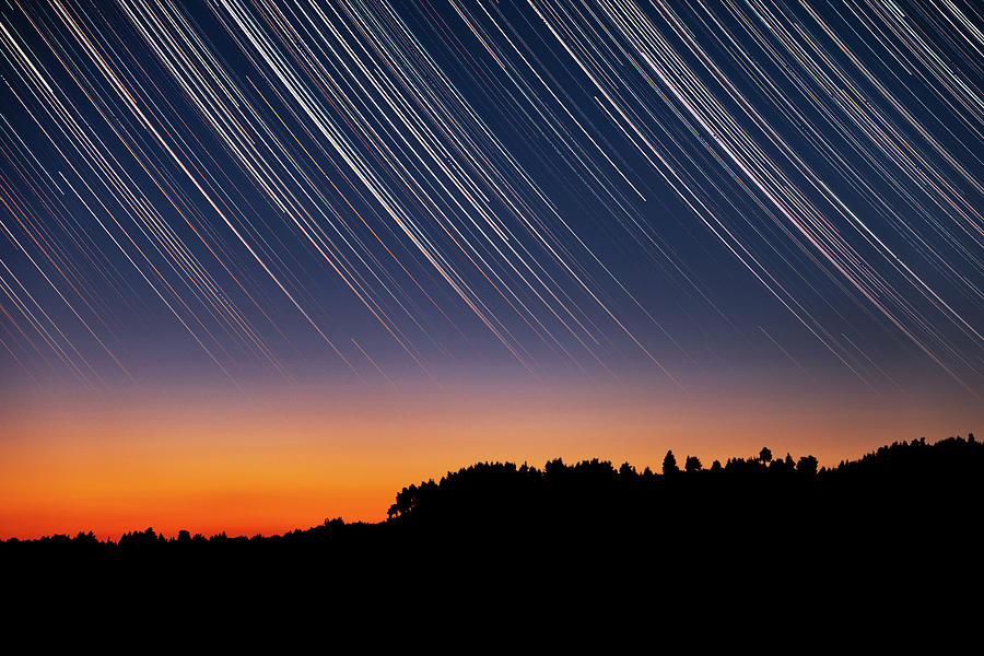 Star Trails over Tree Silhouettes Photograph by Alexios Ntounas