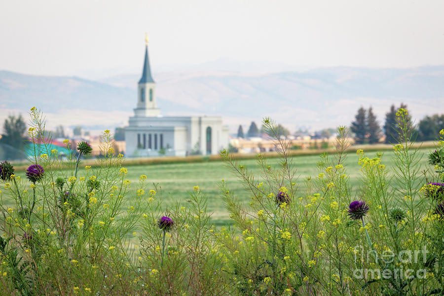 Star Valley Temple Photograph by Bret Barton