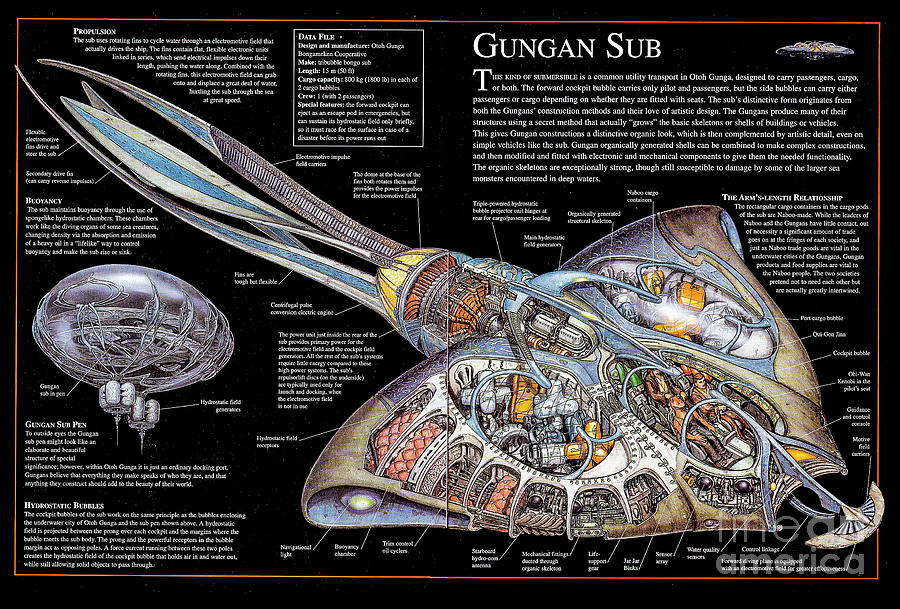 Star Wars Gungan Sub Ship cutaway by Vladyslav Shapovalenko