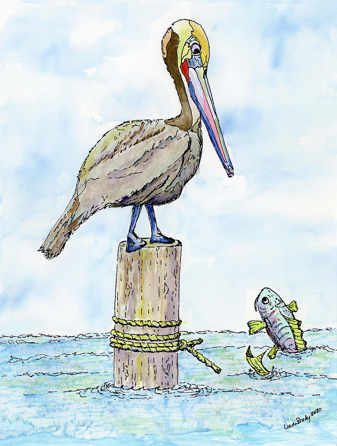 Stare Down  The Pelican And The Fish Painting