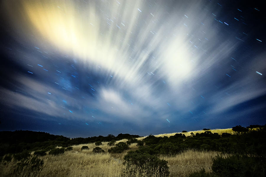 Starfall, Monte Bello Open Space Preserve Photograph by Daniel Chui