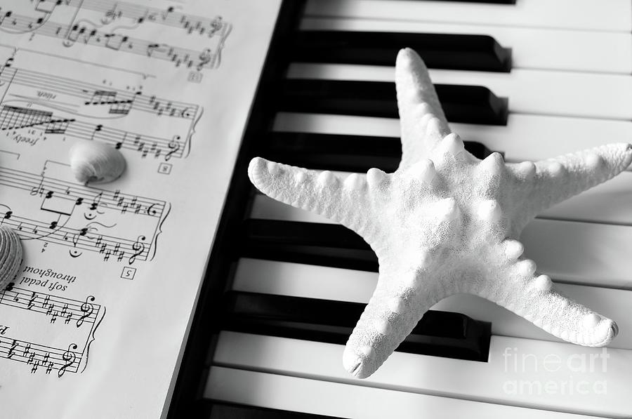 Starfish and Seashells Dreams On The Piano Photograph by Leonida Arte