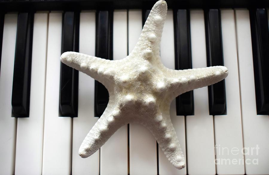 Starfish Dreams on the Piano Photograph by Leonida Arte