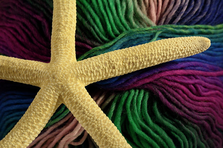 Starfish on Yarn Photograph by Angie Tirado