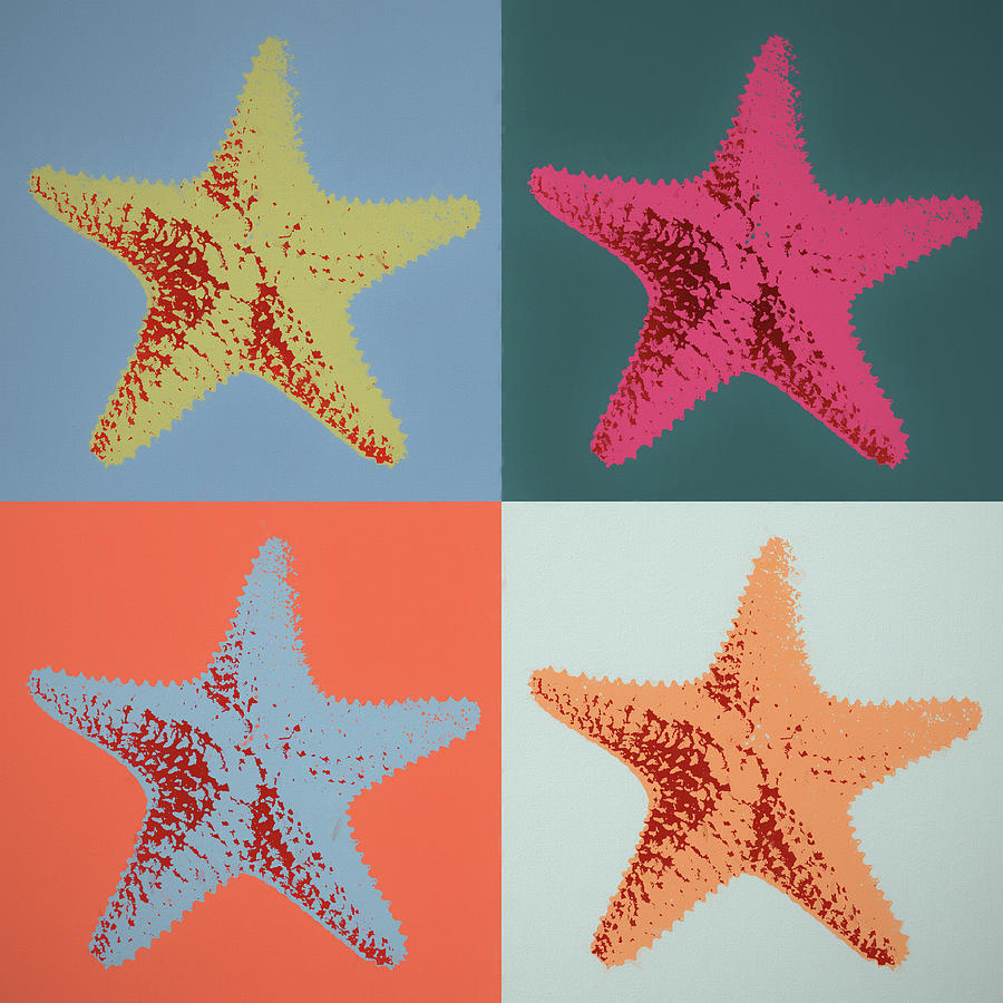 Beach Mixed Media - Starfish Pop Art by Dan Sproul
