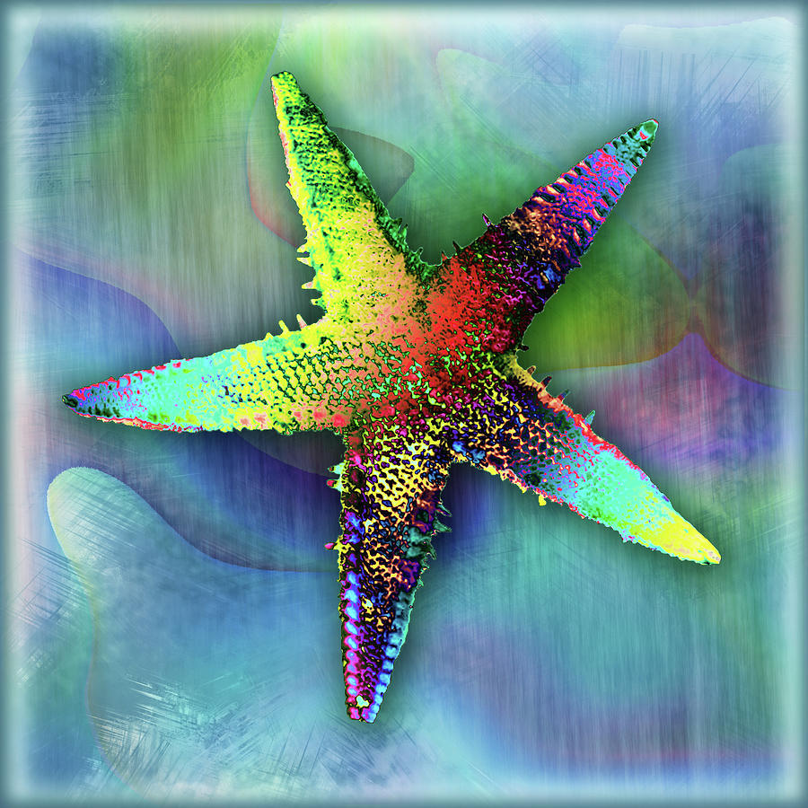 Starfish Seashell teal Digital Art by Grace Iradian