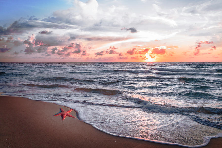 Starfish Treasure in Soft Beach Tones Photograph by Debra and Dave Vanderlaan