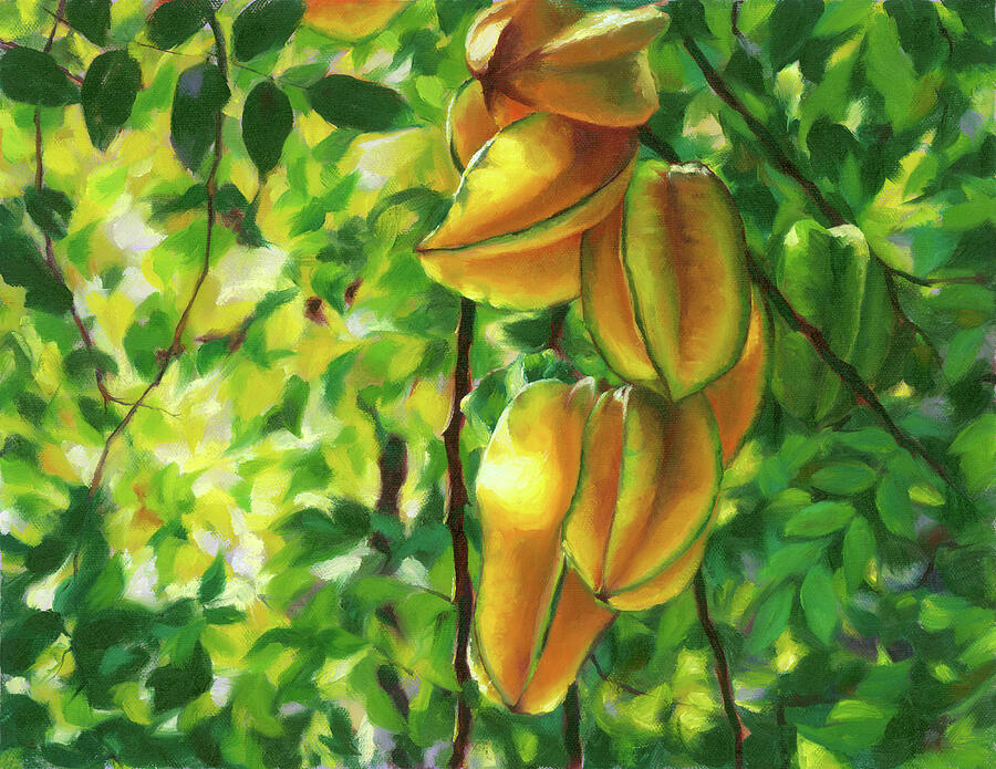 Starfruit, Carambola Painting by Kelly Arnold