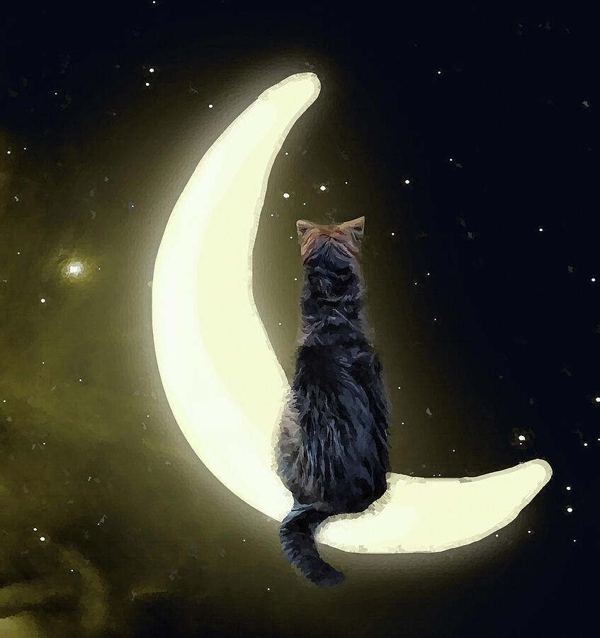 Stargazer-Dog Sitting on a Crescent Moon Digital Art by Shelli Fitzpatrick