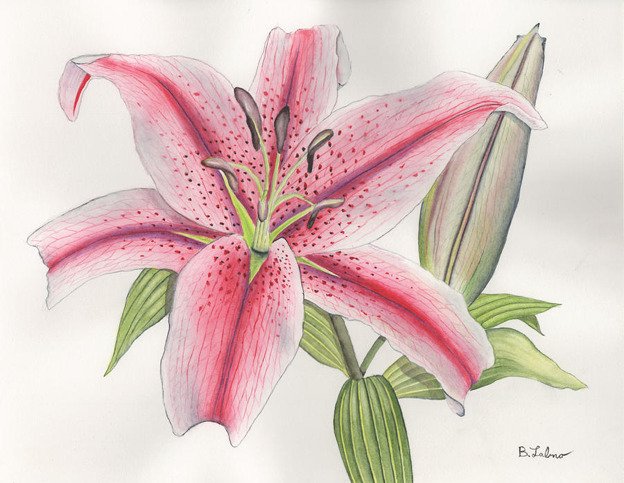Stargazer Lily Painting by Bob Labno