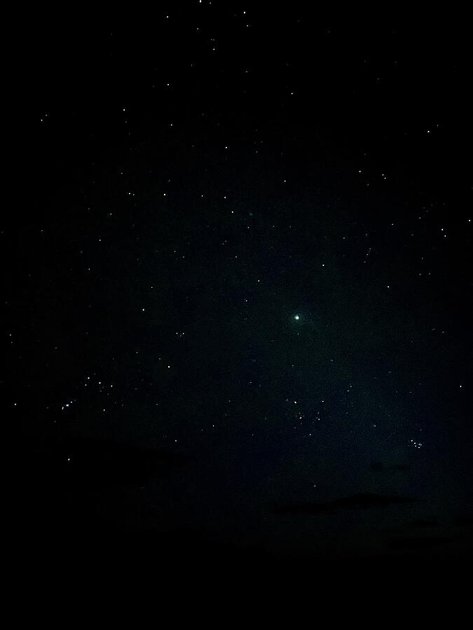 Stargazing Photograph by Carl Moore Stargazing Photograph by Carl Moore