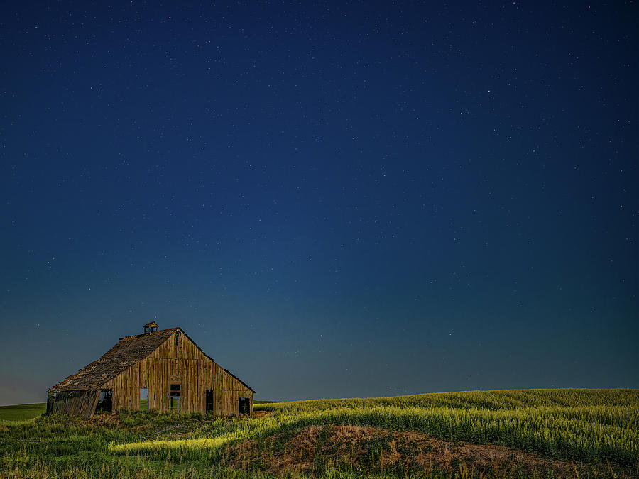 Stargazing in the Country Photograph by Marcy Wielfaert