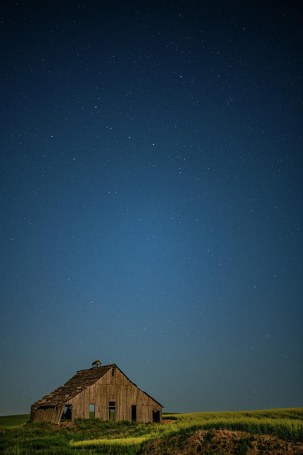 Stargazing in the Country, Vertical Photograph by Marcy Wielfaert