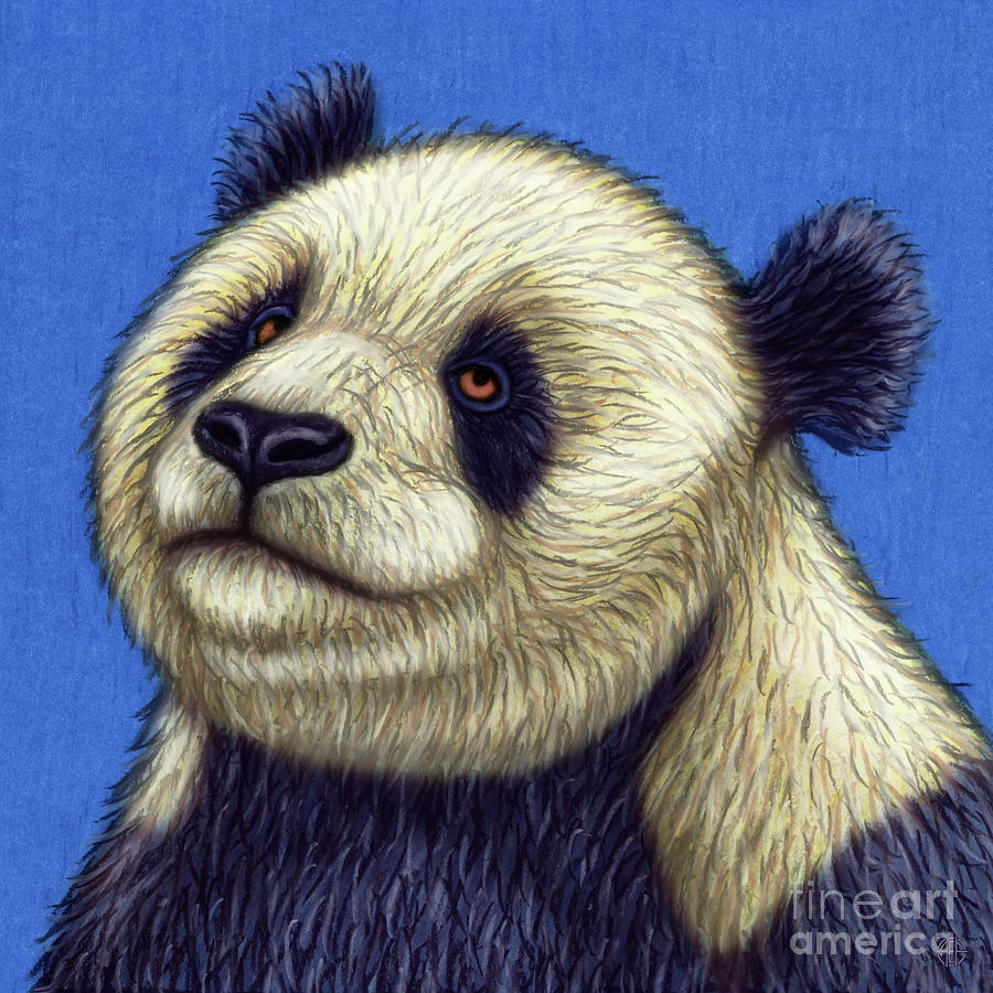 Stargazing Panda Painting by Amy E Fraser
