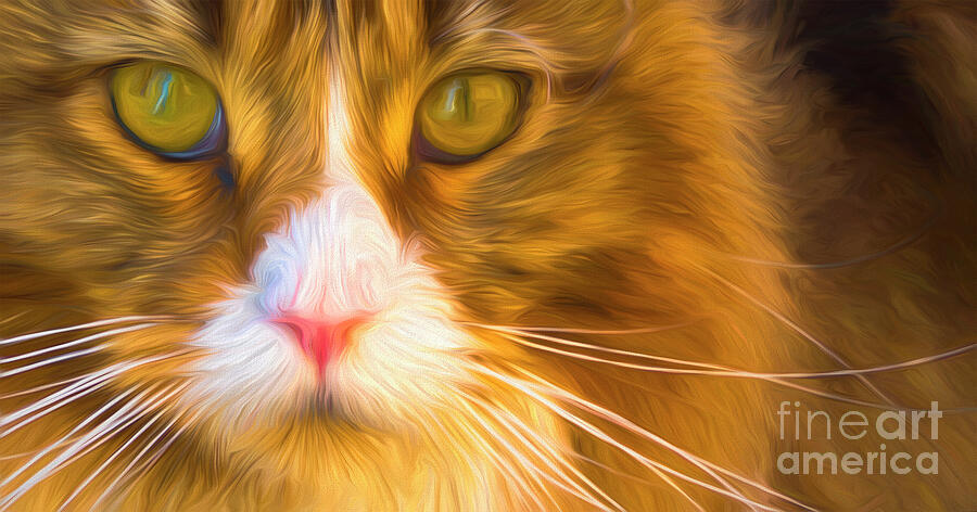 Staring Cats Eyes Digital Art by Wendy Wilton
