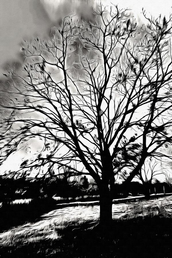 Stark Sky, Barren Tree Mixed Media by Christopher Reed