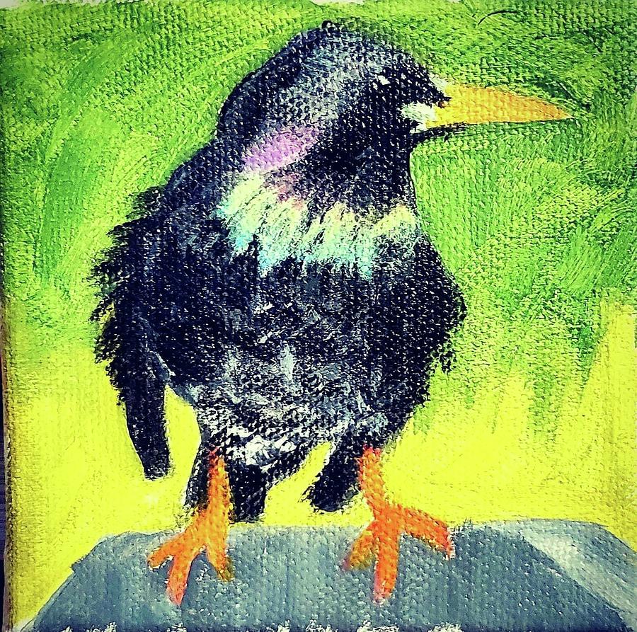 Starling Painting by Amy Kuenzie