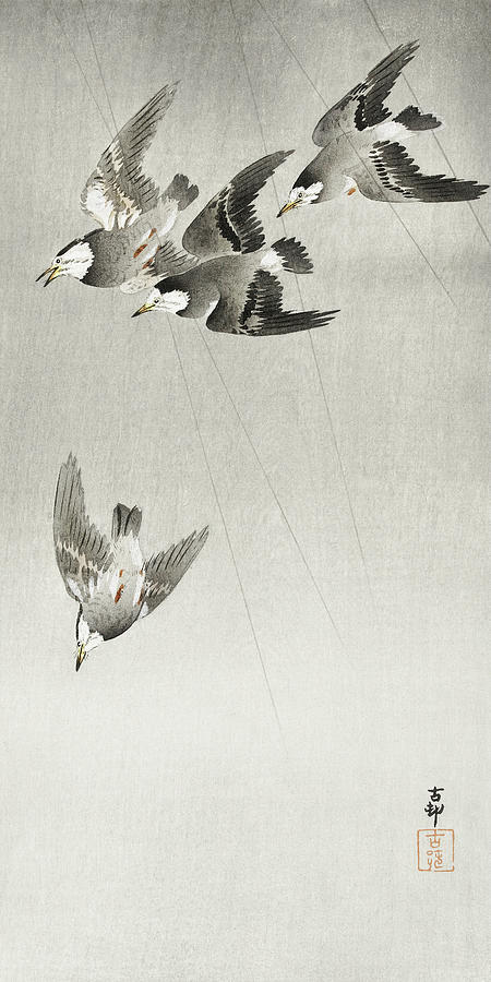Ohara Koson Painting - Starlings in the rain by Ohara Koson