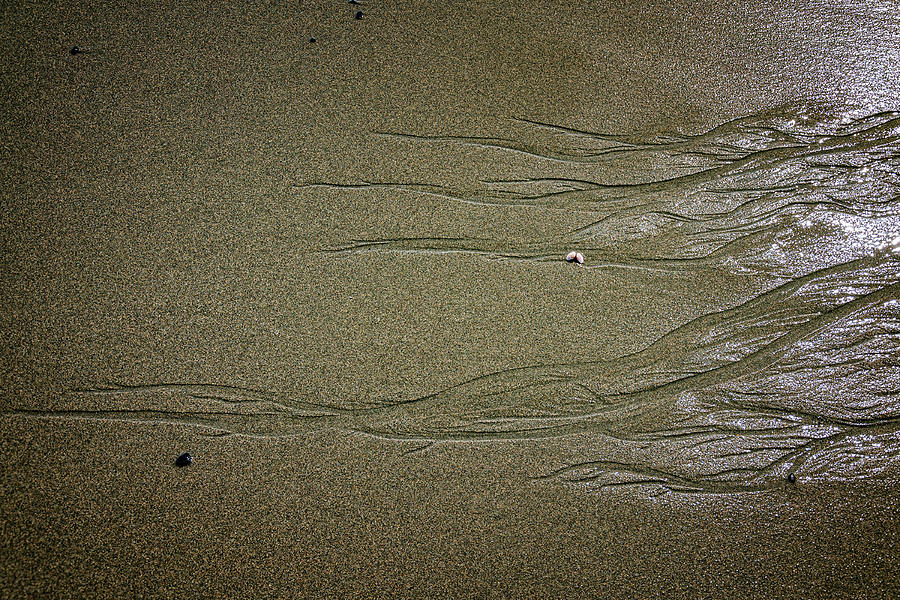 Starlit Sands Photograph