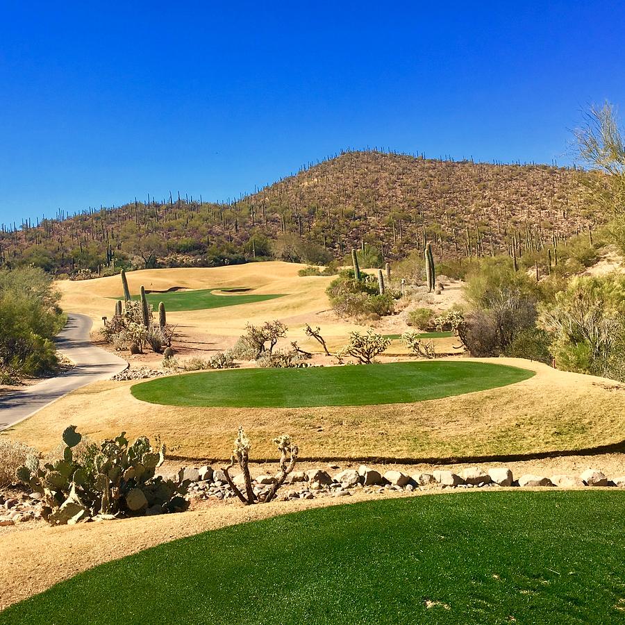 Starr Pass Golf Course Tuscon  Photograph by Jerry Abbott
