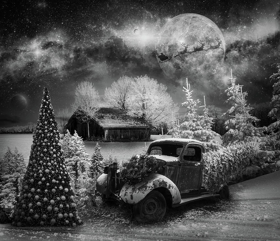Starry Christmas Night Black and White Photograph by Debra and Dave Vanderlaan