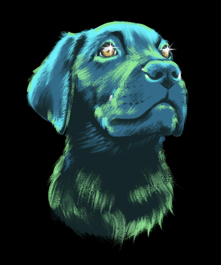 Starry Eyed Labrador Puppy Digital Art by Jindra Noewi