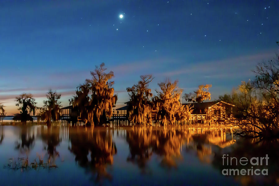 Starry Night at Blue Cypress Photograph by Tom Claud